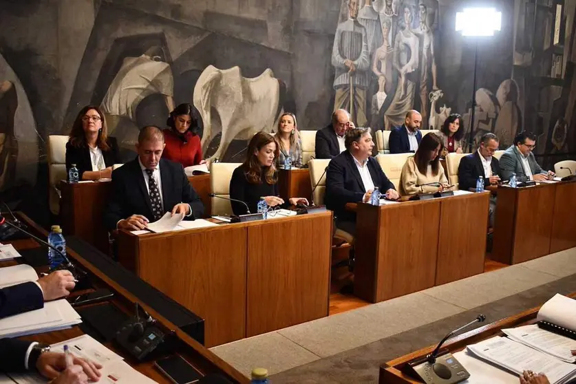 grupo-psoe-diputaci&oacute;n