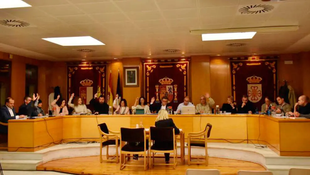 pleno-daimiel