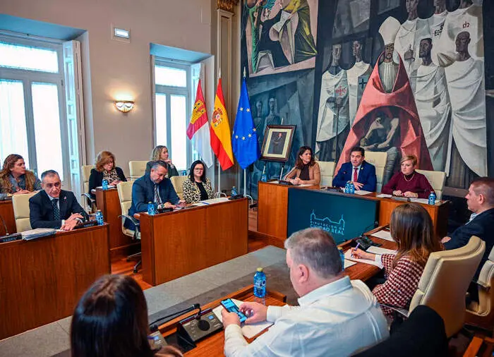 pleno-diputaci&oacute;n-enero