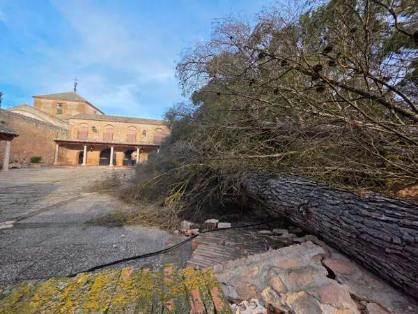 santuario-virgen-cruces