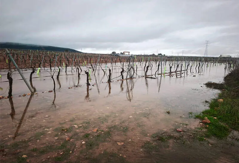 da&ntilde;os-tormentas-valdepe&ntilde;as