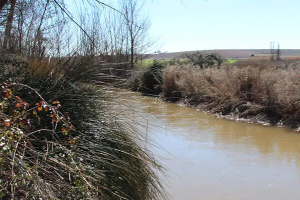 r&iacute;o-azuer
