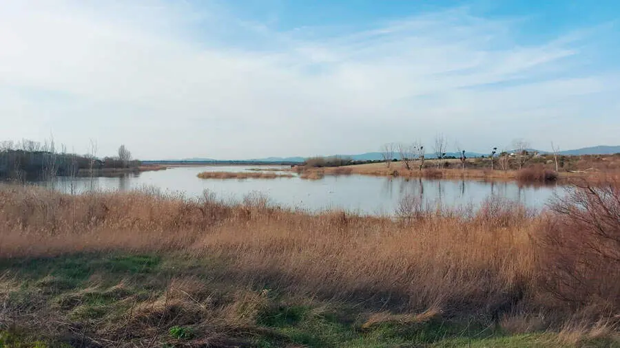 rio-guadiana-25-febrero-2026