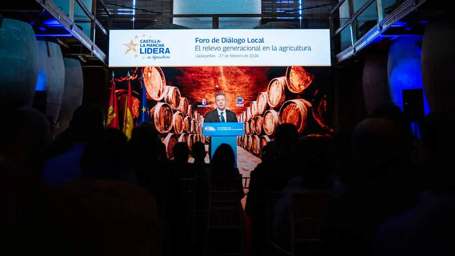 page-foro-di&aacute;logo-local-1