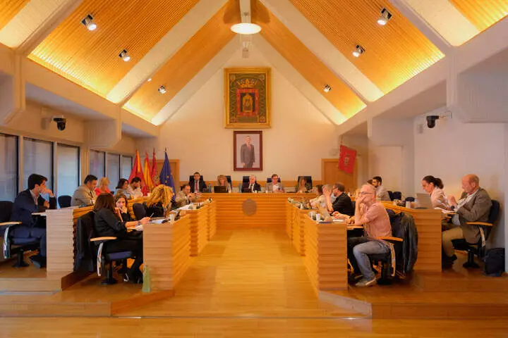 pleno-abril-ciudad-real