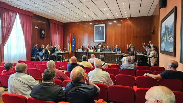 pleno-manzanares