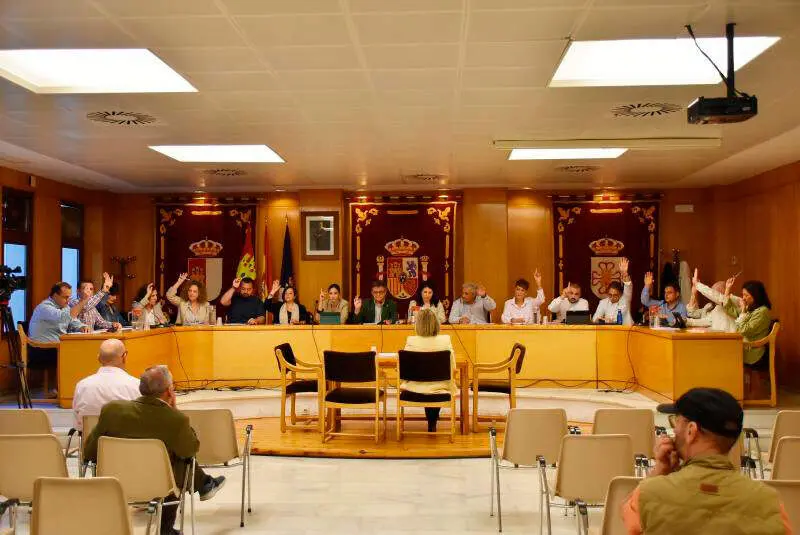 pleno-daimiel
