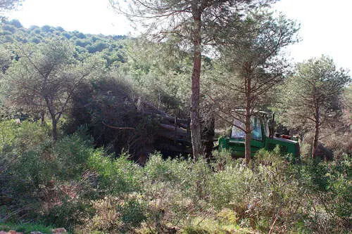 montes