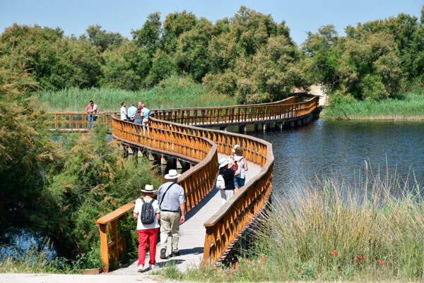 tablas-daimiel