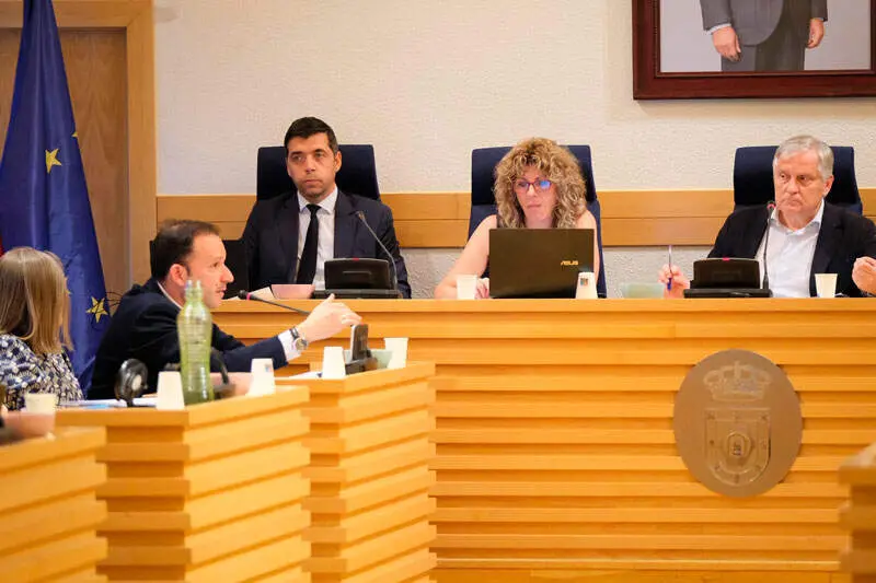 pleno-ayto