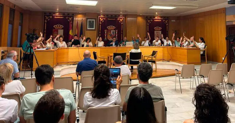 pleno-daimiel-junio