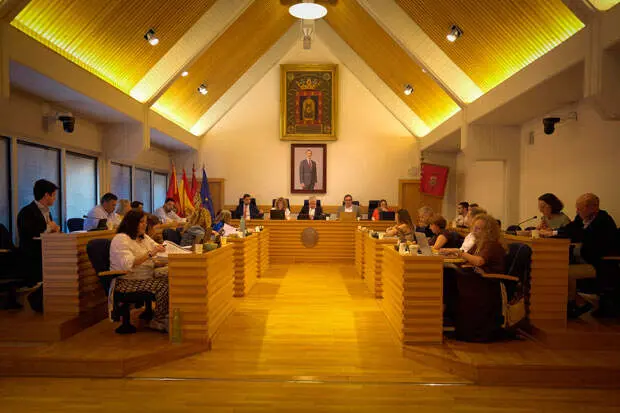 pleno-ciudad-real