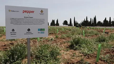 Segunda-plantaci&oacute;n-de-Folia-Project-(cementerio)-(3)