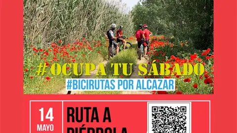 Para el d&iacute;a 14 se ha organizado #bicirutas por Alc&aacute;zar.