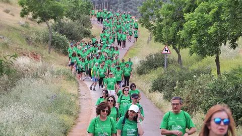 Panor&aacute;mica de la torrentera verde de vuelta al casco urbano