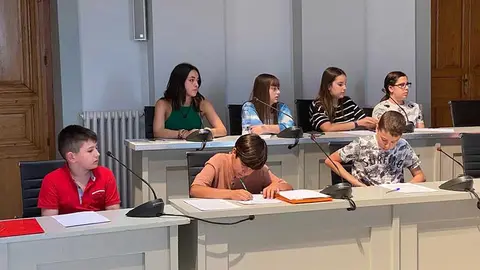 El de ayer fue el primero de los dos plenos que el Consejo de Infancia y Adolescencia celebra a lo largo del a&ntilde;o.
