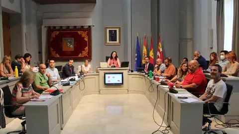 Pleno del Ayuntamiento de Alc&aacute;zar.