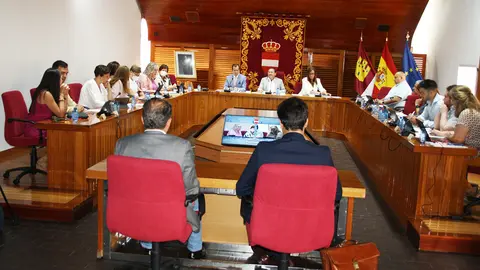 pleno-c