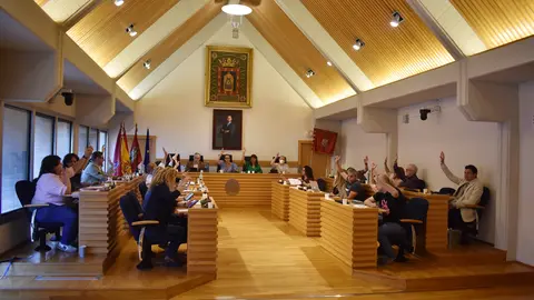 Pleno junio 2022 01