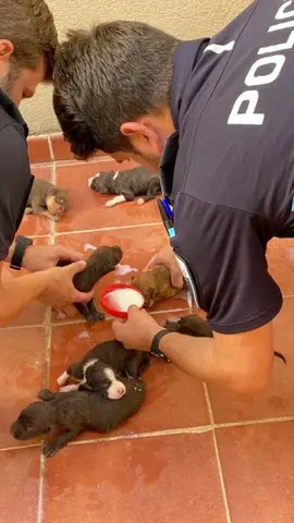 -Policia Local cuidando a los cachorros rescatados