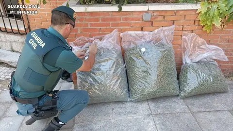 EuropaPress_4577128_interceptan_19_kilos_marihuana_control_a_4