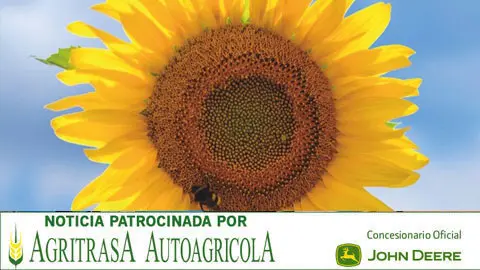 Maestre pide en Europa que se reconsidere la exclusi&oacute;n del girasol y la colza de las ayudas de la PAC