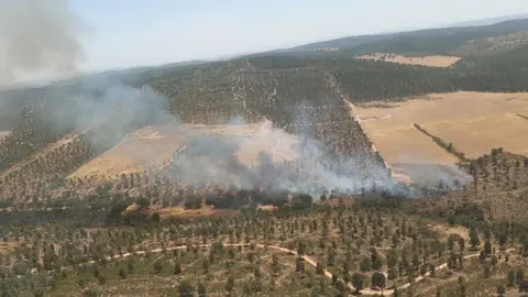 EuropaPress_4596987_incendio_forestal_almaden