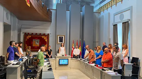 Pleno en sesi&oacute;n ordinaria del mes de julio.