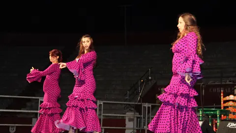 Como ya es tradicional, la gala cont&oacute; con las actuaciones de socios y socias de la pe&ntilde;a y un artista invitado.