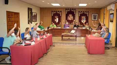 Pleno de Argamasilla de Alba.