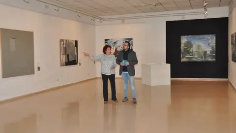 EuropaPress_4635243_diputacion_ciudad_real_apuesta_artistas_visuales_45000_euros_certamenes