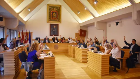 pleno ordinario agosto 2022 01