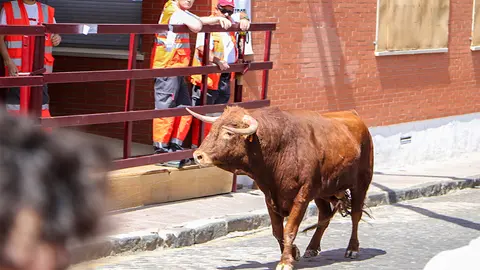 Al fondo, uno de los varios puestos de socorro de Cruz Roja a lo largo de todo el recorrido