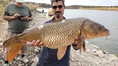 s&aacute;bado FERCATUR, pieza m&aacute;s grande