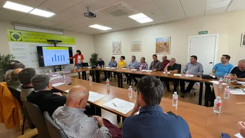 Sectorial Aceite de Oliva