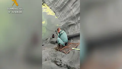 Ayudados por una reja y una eslinga, se logr&oacute; improvisar una base para poder bajar lo m&aacute;ximo posible y de este modo rescatar los perros.