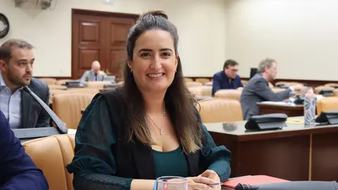IMAGEN CRISTINA L&Oacute;PEZ EN LA COMISI&Oacute;N