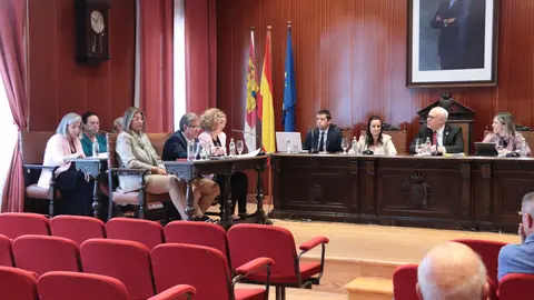 Pleno octubre 2022 (6)