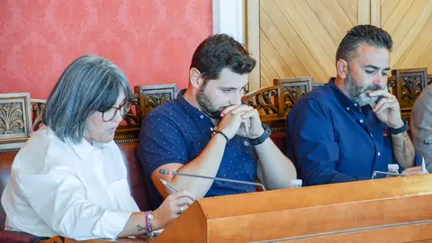 EuropaPress_4772026_elena_villahermosa_vox_pasa_ser_concejal_no_adscrita_ningun_grupo_municipal