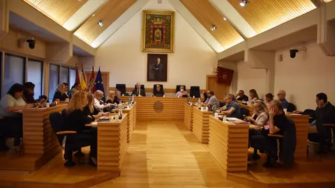 pleno_octubre_2022_03