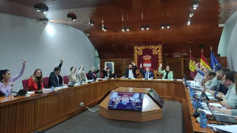 EuropaPress_4834261_pleno_ayuntamiento_puertollano