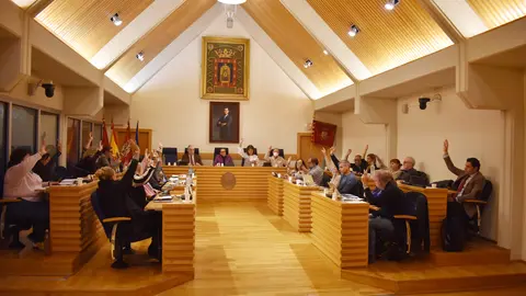 Pleno noviembre 2022 01