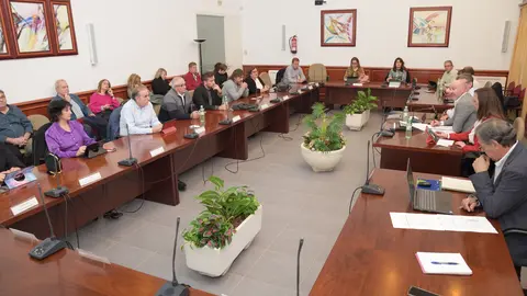 20221215_Pleno ordinario presupuestos_Comsermancha
