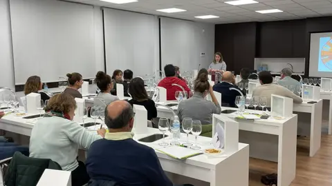 Curso de iniciaci&oacute;n a la cata de vinos en Campo de Criptana