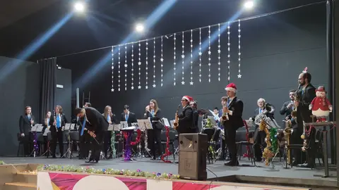 AGRUPACION MUSICAL1