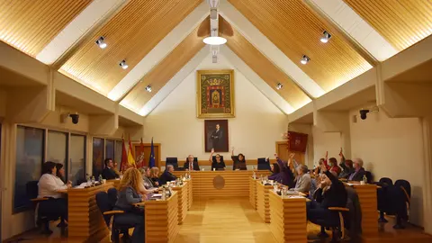 EuropaPress_4895167_pleno_ayuntamiento_ciudad_real_aprueba_presupuestos