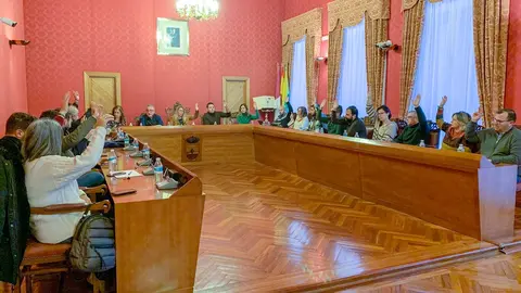 EuropaPress_4929867_pleno_ayuntamiento_tomelloso