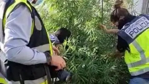 La Polic&iacute;a Nacional desmantela un importante punto de venta de estupefacientes en Valdepe&ntilde;as.