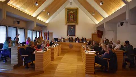 plenopodemos