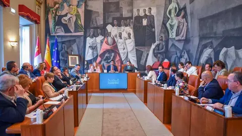 EuropaPress_5092133_pleno_diputacion_ciudad_real